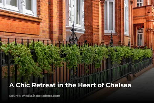 A Chic Retreat in the Heart of Chelsea