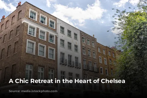 A Chic Retreat in the Heart of Chelsea