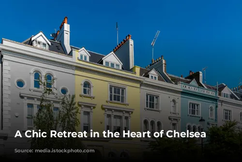 A Chic Retreat in the Heart of Chelsea