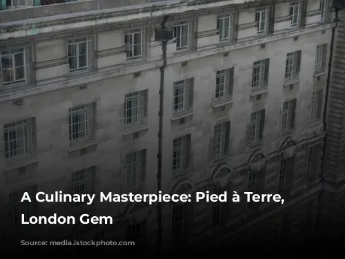 A Culinary Masterpiece: Pied à Terre, a London Gem