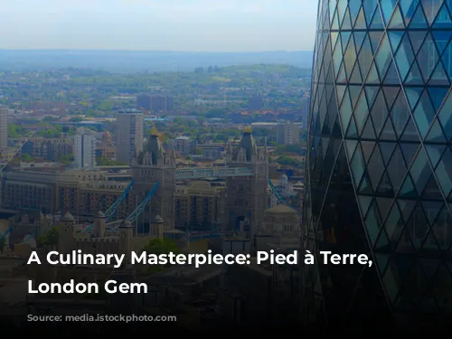 A Culinary Masterpiece: Pied à Terre, a London Gem