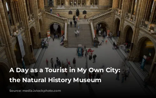 A Day as a Tourist in My Own City: Exploring the Natural History Museum