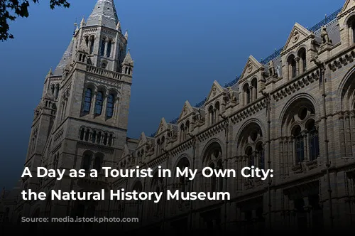 A Day as a Tourist in My Own City: Exploring the Natural History Museum