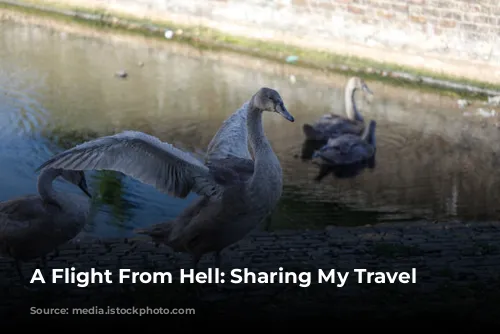 A Flight From Hell: Sharing My Travel Mishaps