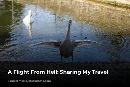 A Flight From Hell: Sharing My Travel Mishaps