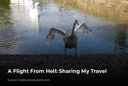 A Flight From Hell: Sharing My Travel Mishaps