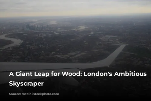 A Giant Leap for Wood: London's Ambitious Timber Skyscraper