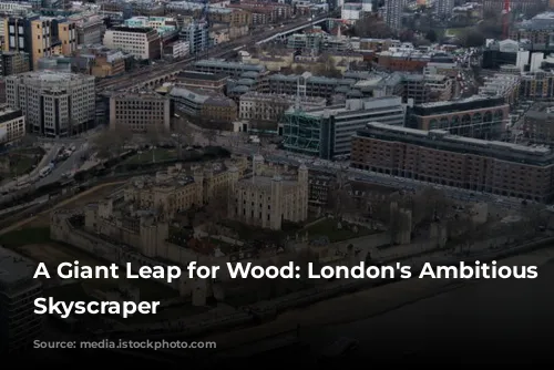 A Giant Leap for Wood: London's Ambitious Timber Skyscraper