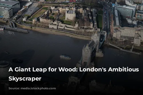 A Giant Leap for Wood: London's Ambitious Timber Skyscraper