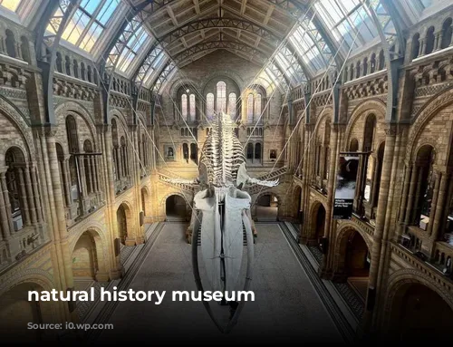 natural history museum