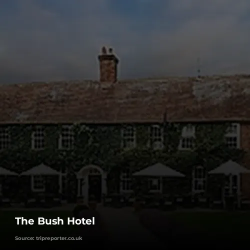 The Bush Hotel