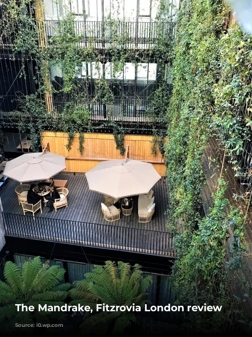 The Mandrake, Fitzrovia London review courtyard