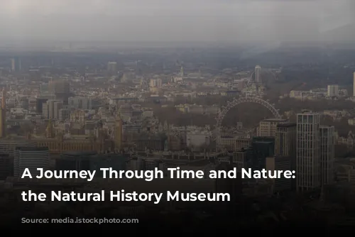 A Journey Through Time and Nature: Exploring the Natural History Museum