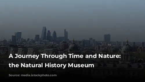 A Journey Through Time and Nature: Exploring the Natural History Museum