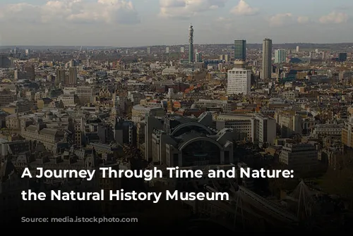 A Journey Through Time and Nature: Exploring the Natural History Museum