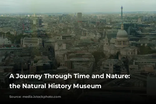 A Journey Through Time and Nature: Exploring the Natural History Museum