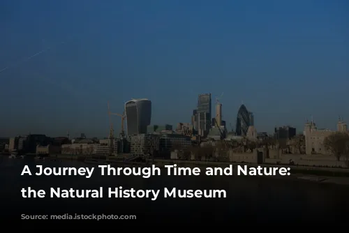 A Journey Through Time and Nature: Exploring the Natural History Museum