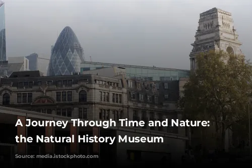 A Journey Through Time and Nature: Exploring the Natural History Museum