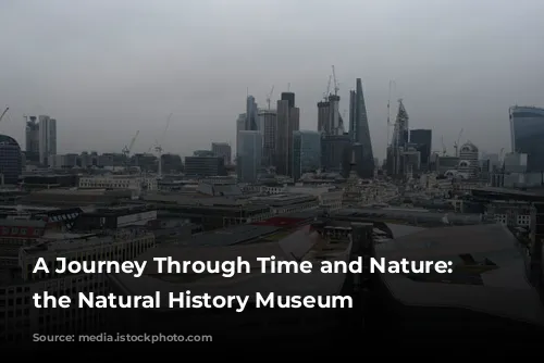 A Journey Through Time and Nature: Exploring the Natural History Museum