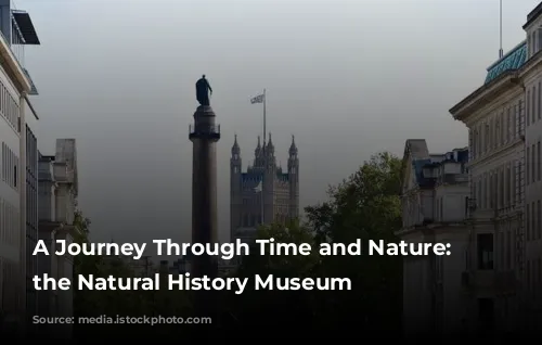 A Journey Through Time and Nature: Exploring the Natural History Museum