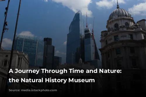 A Journey Through Time and Nature: Exploring the Natural History Museum