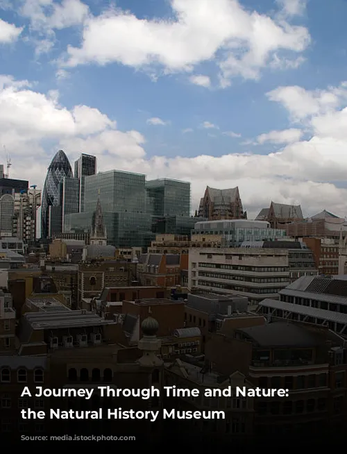 A Journey Through Time and Nature: Exploring the Natural History Museum