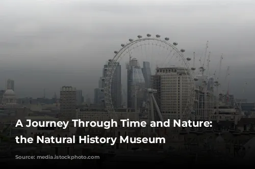 A Journey Through Time and Nature: Exploring the Natural History Museum