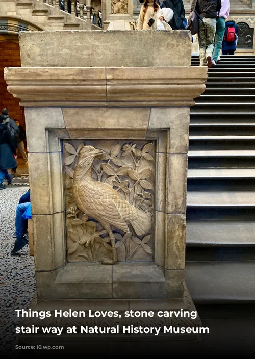 Things Helen Loves, stone carving on stair way at Natural History Museum London