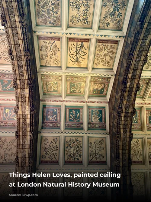 Things Helen Loves, painted ceiling panels at London Natural History Museum