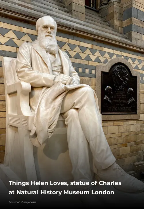 Things Helen Loves, statue of Charles Darwin at Natural History Museum London