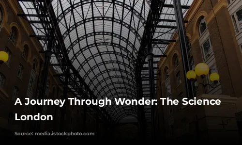 A Journey Through Wonder: The Science Museum, London