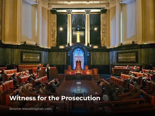 Witness for the Prosecution