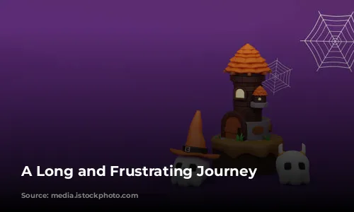 A Long and Frustrating Journey