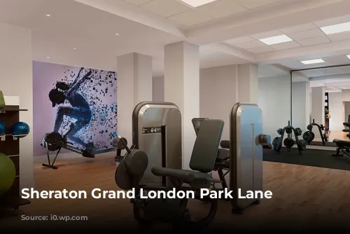 Sheraton Grand London Park Lane Gym 