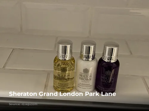 Sheraton Grand London Park Lane Toiletries