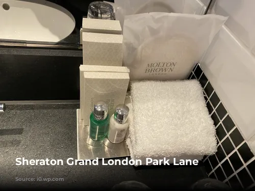 Sheraton Grand London Park Lane Amenities