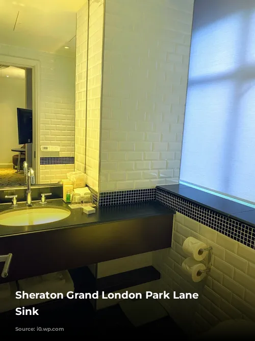 Sheraton Grand London Park Lane Bathroom Sink 