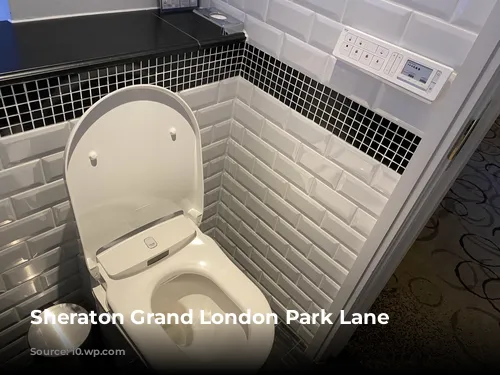 Sheraton Grand London Park Lane Toilet