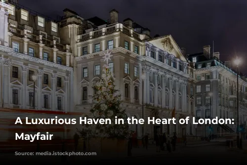 A Luxurious Haven in the Heart of London: Flemings Mayfair