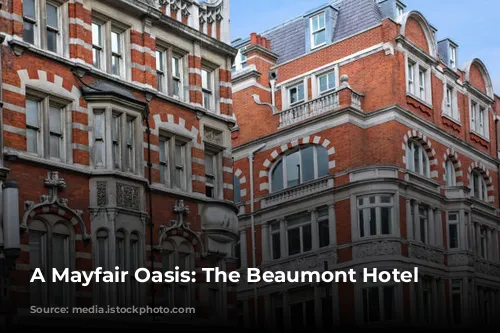 A Mayfair Oasis: The Beaumont Hotel