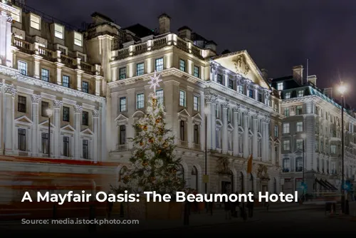 A Mayfair Oasis: The Beaumont Hotel