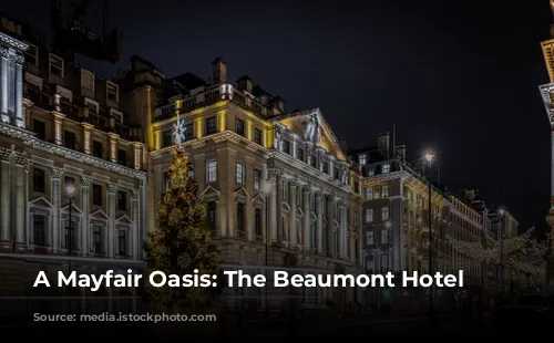 A Mayfair Oasis: The Beaumont Hotel