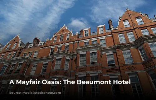 A Mayfair Oasis: The Beaumont Hotel