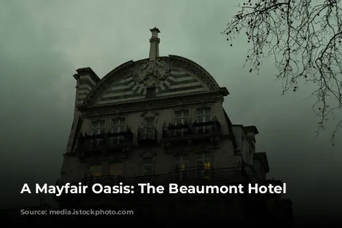 A Mayfair Oasis: The Beaumont Hotel