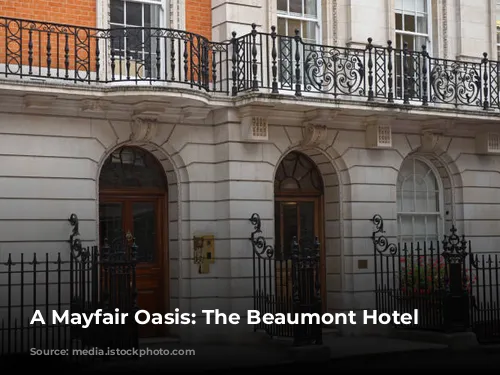 A Mayfair Oasis: The Beaumont Hotel