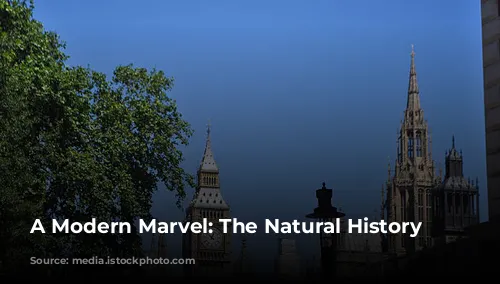 A Modern Marvel: The Natural History Museum