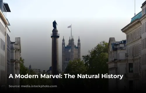 A Modern Marvel: The Natural History Museum