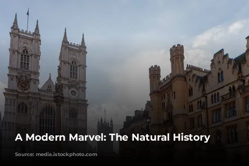 A Modern Marvel: The Natural History Museum