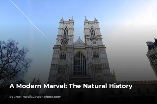 A Modern Marvel: The Natural History Museum