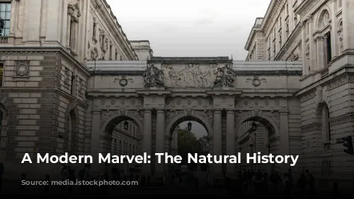 A Modern Marvel: The Natural History Museum